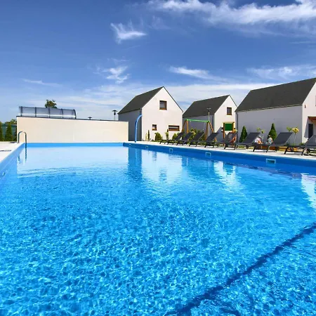 Holiday home Luxury In Rogowo With Pool